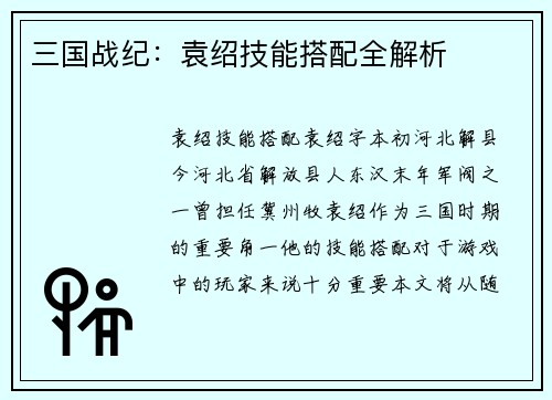 三国战纪：袁绍技能搭配全解析