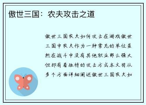 傲世三国：农夫攻击之道
